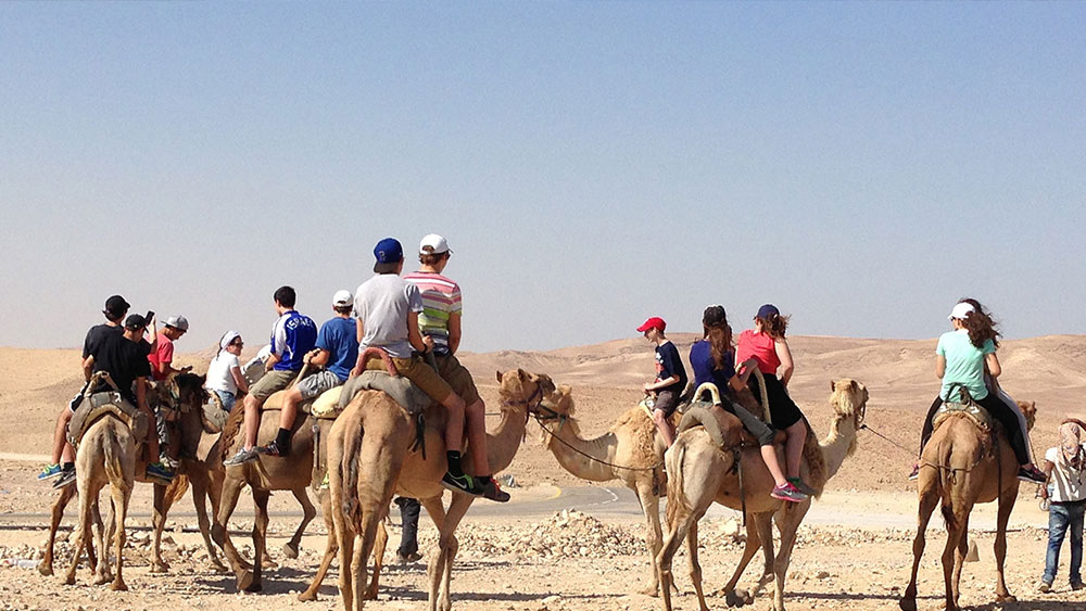 Special Tours & Desert Experience 9 Days/ 8 Nights